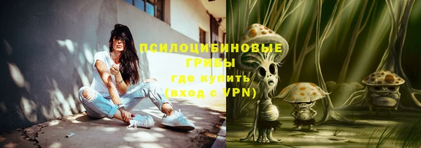 бошки Богородицк
