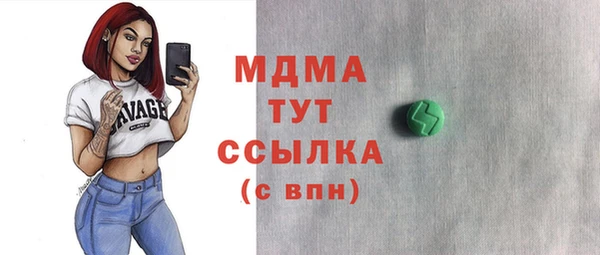 ПСИЛОЦИБИНОВЫЕ ГРИБЫ Богданович