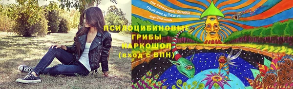 бошки Богородицк