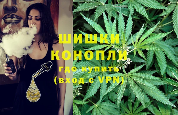 ПСИЛОЦИБИНОВЫЕ ГРИБЫ Богданович
