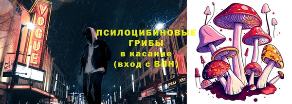 бошки Богородицк
