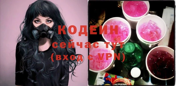 ПСИЛОЦИБИНОВЫЕ ГРИБЫ Богданович