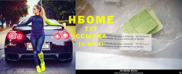 ПСИЛОЦИБИНОВЫЕ ГРИБЫ Богданович